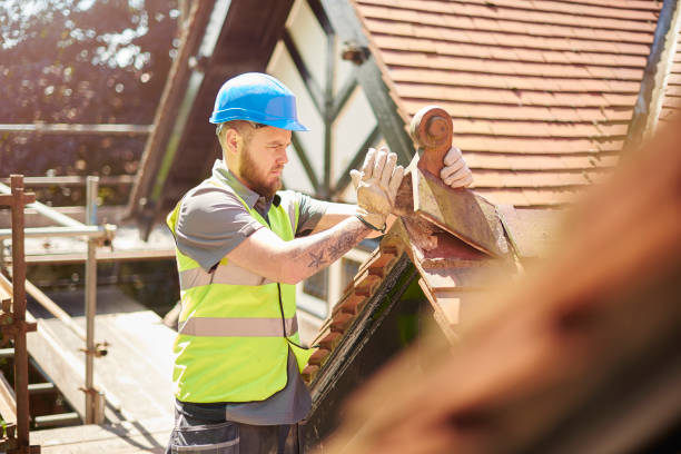 Best Local Roofing Companies  in Oak Hill, WV